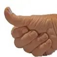 avatar_52494.webp
