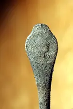 NH FINDS 4-20019.webp