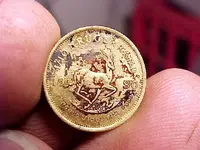 Kruger gold.webp