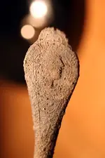 NH FINDS 4-20016.webp
