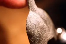 NH FINDS 4-20014.webp