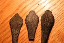 NH FINDS 4-20012.webp