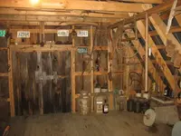 IMG_0486_1_1.webp