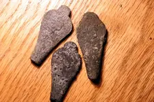 NH FINDS 4-20010.webp
