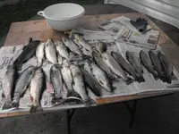 DSCF0116.webp