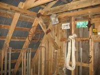 IMG_0491_1_1.webp