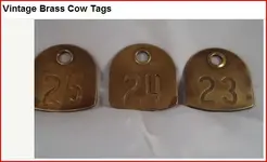 Cow Tags.webp