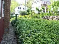 MAY 1ST  HUNT NEXT DOOR 1850 LC 004 [1600x1200].webp