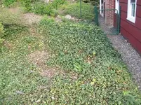 MAY 1ST  HUNT NEXT DOOR 1850 LC 010 [1600x1200].webp