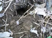 MAY 1ST  HUNT NEXT DOOR 1850 LC 005 [1600x1200].webp