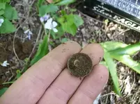 MAY 1ST  HUNT NEXT DOOR 1850 LC 008 [1600x1200].webp