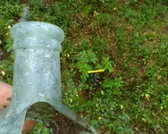 Trash Pit.webp