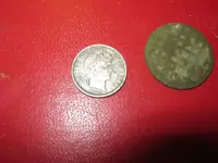 quarry finds 4-3-11 008.webp