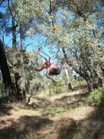 100_0707.webp