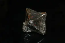 DSC_0035.webp