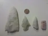 field finds.webp