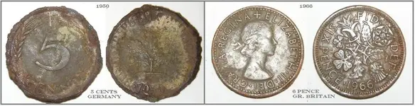 COINS.webp