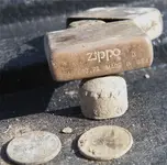 zippy day.webp