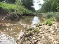 100_0739.webp
