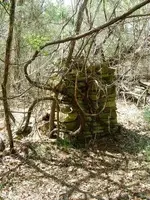 DSCN3523.webp