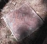 DSCN3535.webp