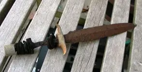 DSCN3564.webp