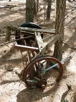 DSCN3522.webp