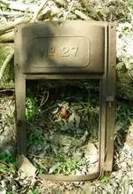 DSCN3529.webp