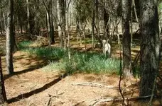 DSCN3532.webp
