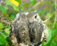 DSC05791(1).webp