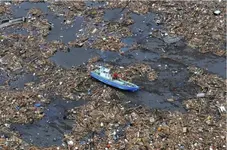 debris.webp