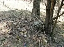 DSCN3530.webp