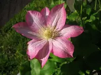 013.webp