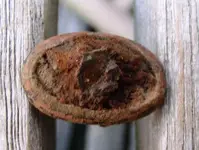 DSCN3554.webp