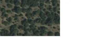 map5.webp