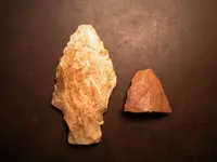 DSCN0695.webp