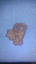 1301806498658.webp