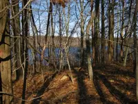 new cellar hole 2011 001.webp