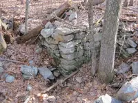 new cellar hole 2011 004.webp
