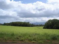 WAIALUA CAMP.webp