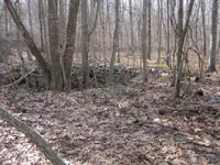new cellar hole 2011 009.webp