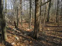 new cellar hole 2011 008.webp