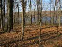 new cellar hole 2011 007.webp