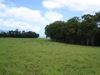 WAIALUA CAMP (5).webp