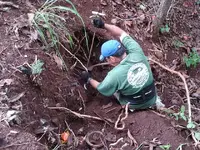 WAIALUA CAMP (8).webp