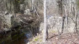 mill 006 (2).webp