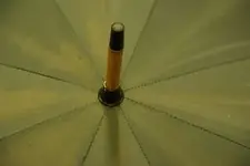 ferrule.webp