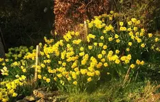 yorkshire wolds 026.webp