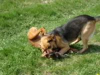 DSC00003.webp