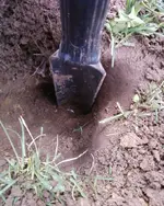 Photo0138.webp